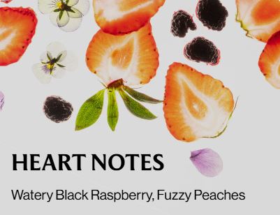 Berry Bliss - Hand Sanitizer