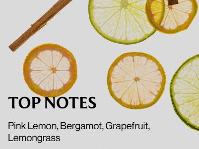 Lemon lime spritz - Hand Sanitizer