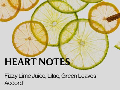 Lemon lime spritz - Hand Sanitizer