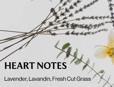 Pure Lavander - Hand Sanitizer