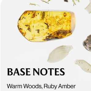 Body Mist - Golden Amber