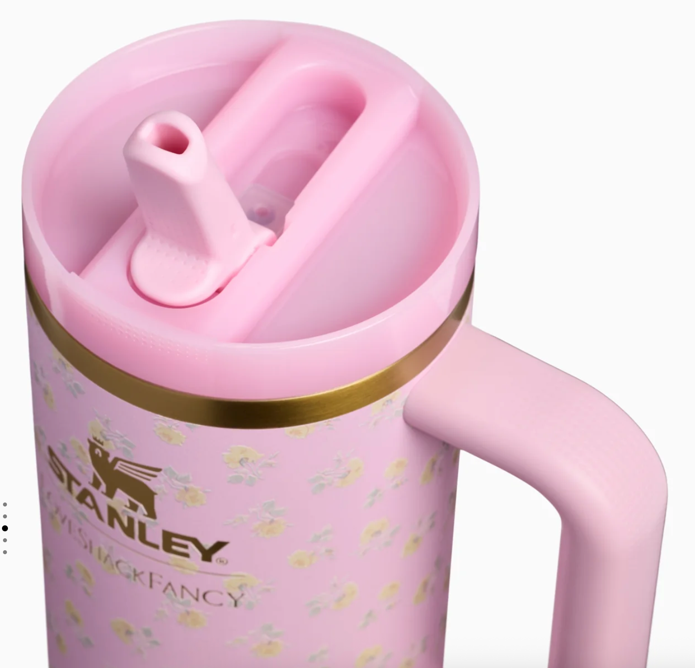 Polaroid Rose 🌸🌼 | Stanley 1913 x LoveShackFancy Holiday Quencher ProTour Flip Straw Tumbler | 30 oz, 887 ml