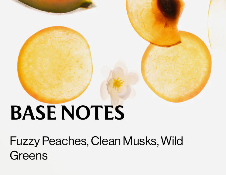 Wild Watermelon - Hand Sanitizer