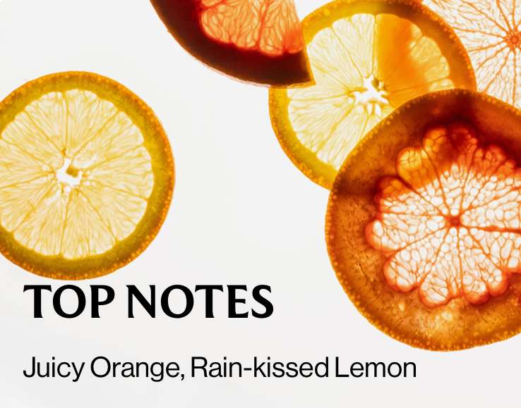 Citrus Grove - Hand Sanitizer