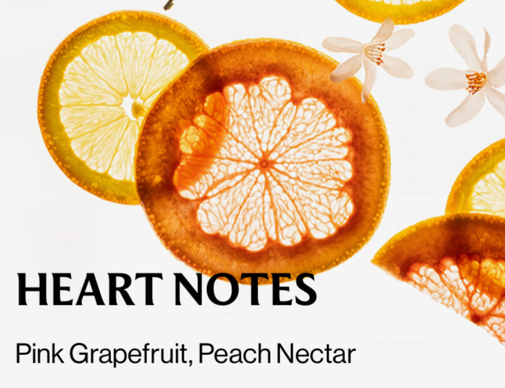 Citrus Grove - Hand Sanitizer
