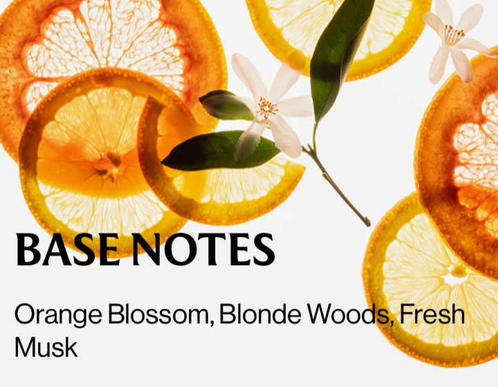 Citrus Grove - Hand Sanitizer
