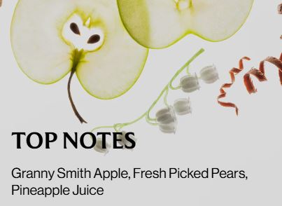 Applelicious - Hand Sanitizer
