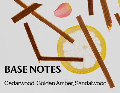 Blue Sandalwood - Hand Sanitizer