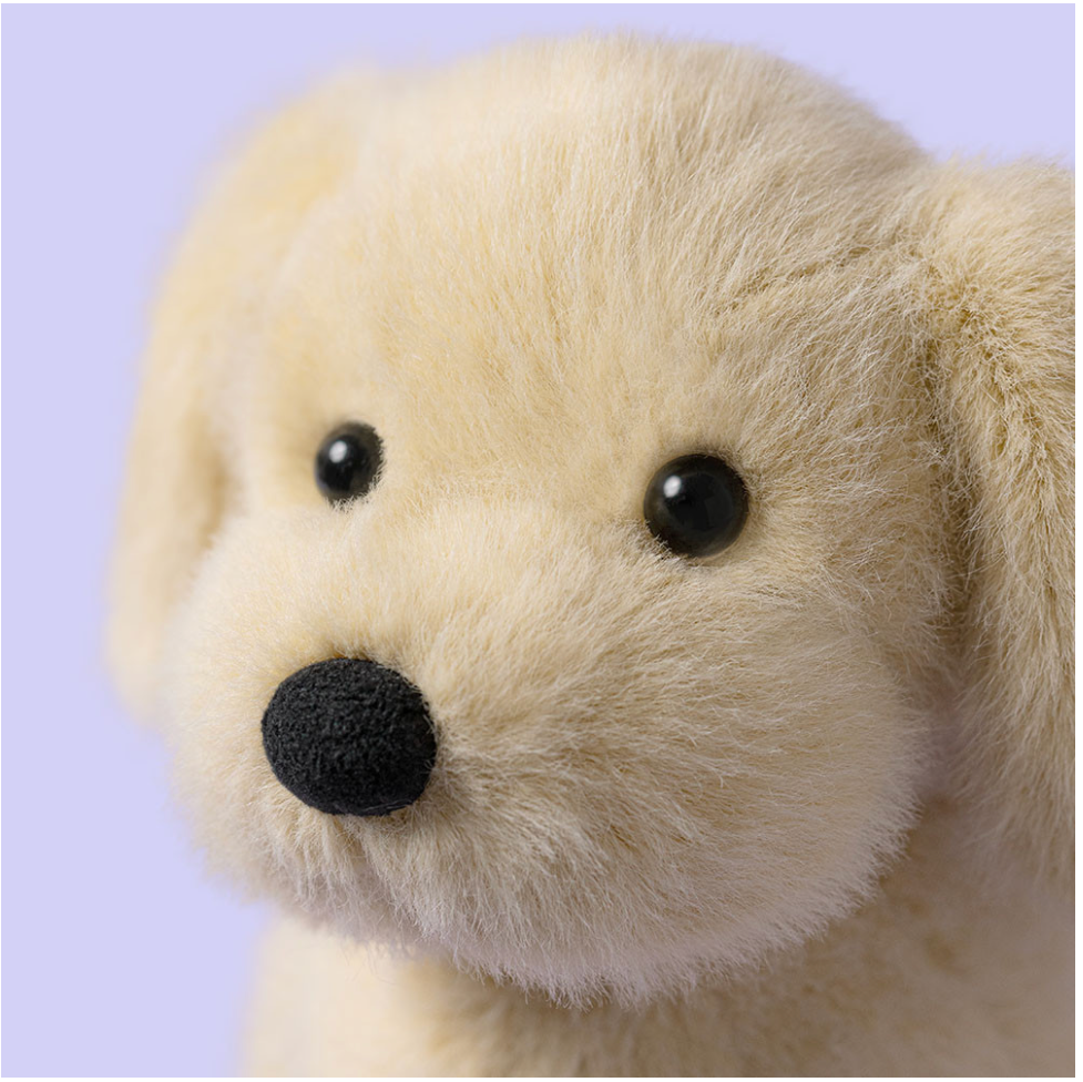 Jelly Cat | Peluche | Golden Puppy 🐶