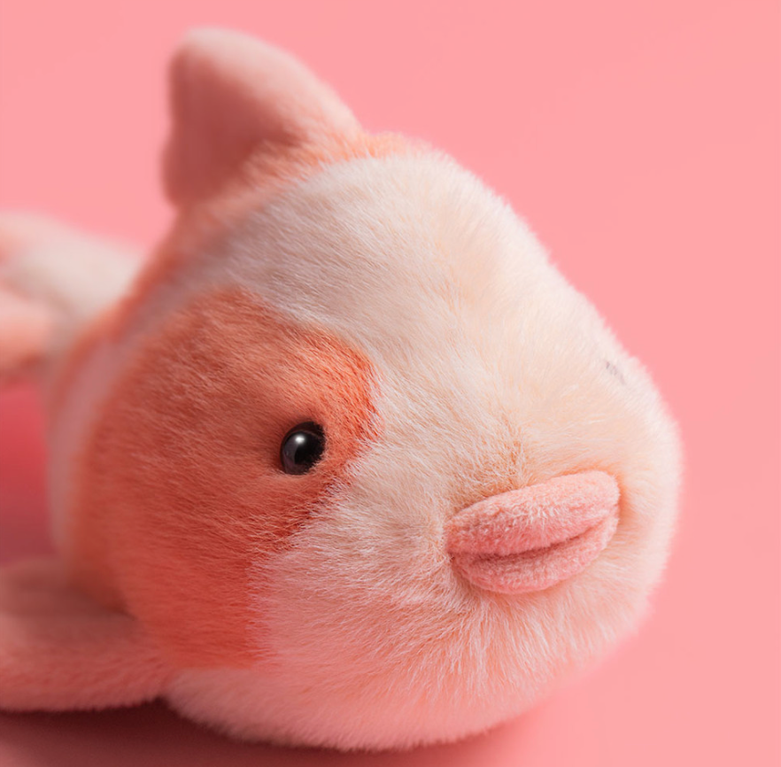 Jelly Cat | Peluche | Fancy Carp 🐟