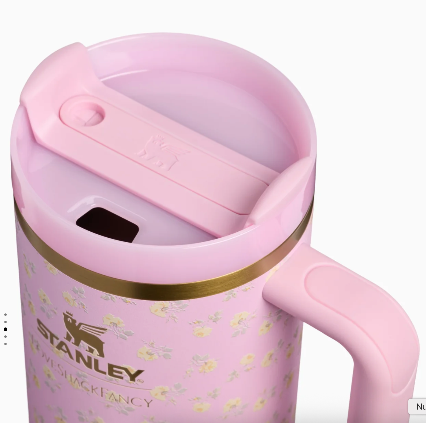 Polaroid Rose 🌸🌼 | Stanley 1913 x LoveShackFancy Quencher H2.O FlowState™ Tumbler with Handle | 40 OZ