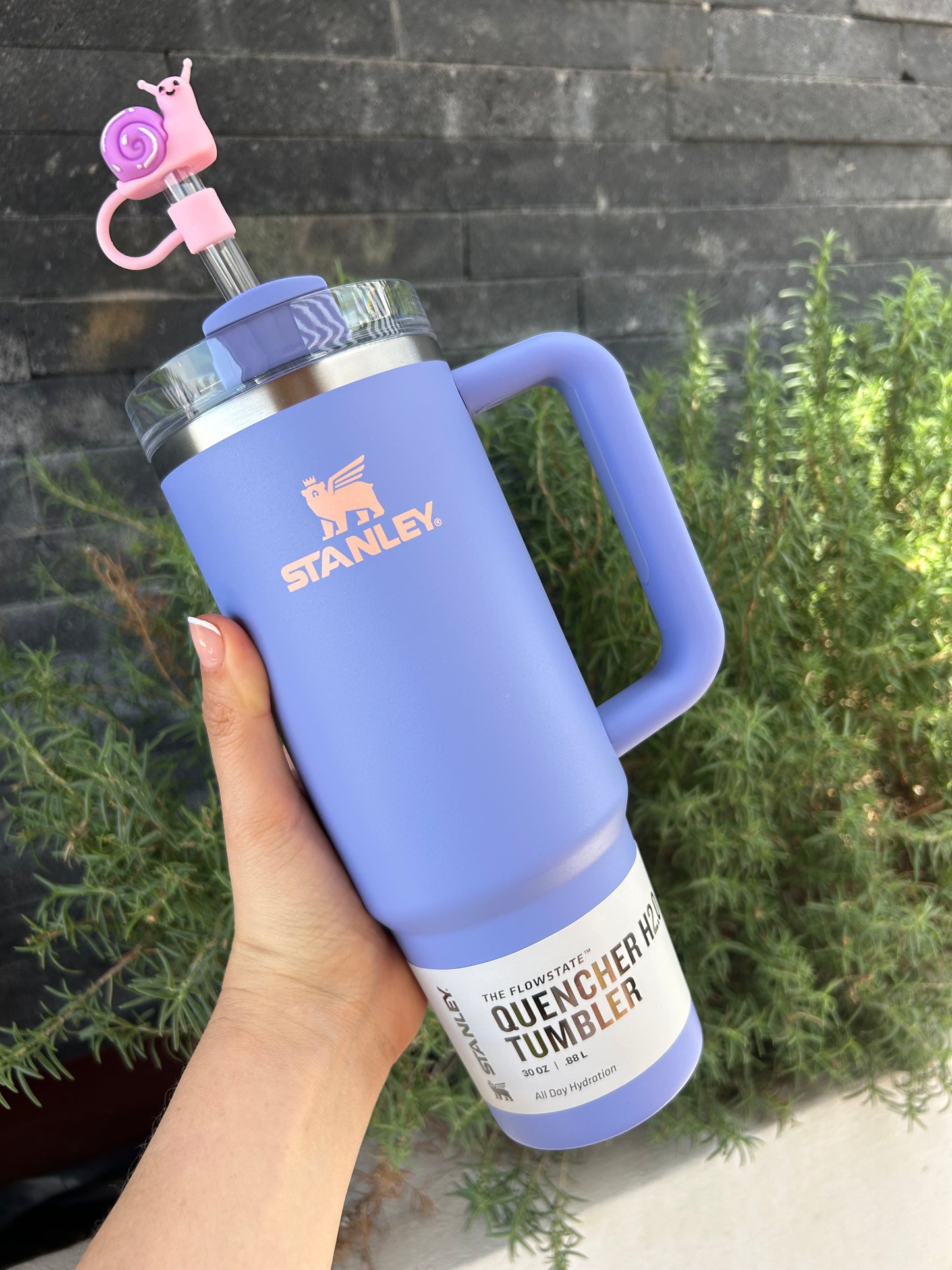 Stanley Quencher H2.0 Flowstate Tumbler 887ml l | 30 oz