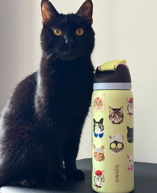 Cat Collage 😺 | Owala UO Exclusive FreeSip 946 ml | 32 oz