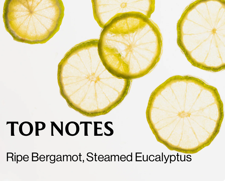 Body Mist - Sparkling Bergamot